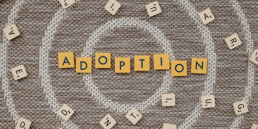 adoption